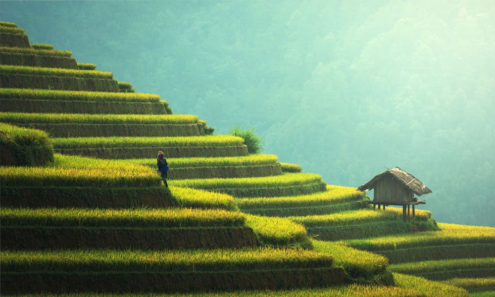 Top Places To Visit In Spring